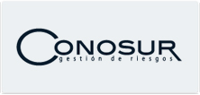 INT - Conosur Seguros
