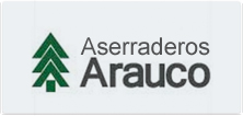 INT - Aserraderos Arauco