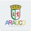 INT - Municipalidad Arauco