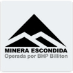 INT - Minera Escondida