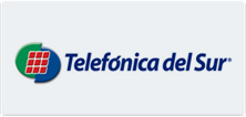 INT- Telefonica del sur