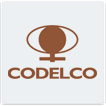 INT - Codelco
