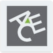 INT - Ace seguros
